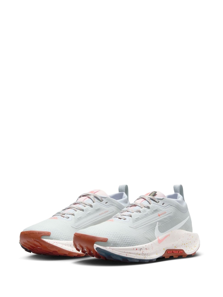 Nike Light Grey Pegasus 5 GORE-TEX Waterproof Trail Running Trainers - Image 3 of 12