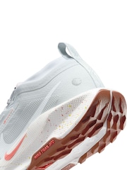 Nike Light Grey Pegasus 5 GORE-TEX Waterproof Trail Running Trainers - Image 8 of 12