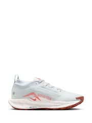 Nike Light Grey Pegasus 5 GORE-TEX Waterproof Trail Running Trainers - Image 9 of 12