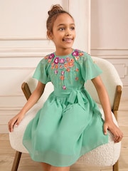 Love & Roses Green Embellished Chiffon Occasion Dress (5-16yrs) - Image 3 of 4