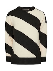 Evans Cream/Black Diagonal Stripe Jumper - Image 5 of 5