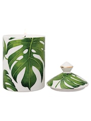 Stoneglow Urban Botanicals Coconut Lime Zest Ceramic Candle - Image 2 of 4