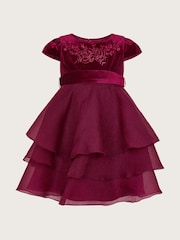Monsoon Red Baby Mabel Embroidered Velvet Dress - Image 1 of 3