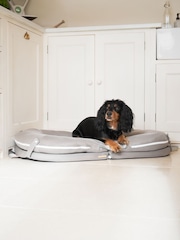 Lords and Labradors Grey The Ultimate Capsule Dog Travel Bed - Image 1 of 3