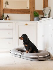 Lords and Labradors Grey The Ultimate Capsule Dog Travel Bed - Image 2 of 3