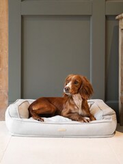 Lords and Labradors Alabaster Deep Sleep Dog Bed - Image 1 of 3