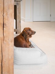 Lords and Labradors Alabaster Deep Sleep Dog Bed - Image 3 of 3