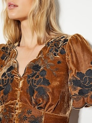 Monsoon Natural Cleo Embroidered Velvet Dress - Image 4 of 5