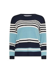 M&Co Blue Petite Multi Stripe Jumper - Image 5 of 5