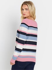 M&Co Nevy Blue Petite Multi Stripe Jumper - Image 3 of 5