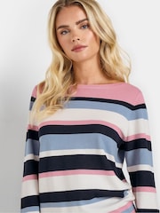 M&Co Nevy Blue Petite Multi Stripe Jumper - Image 4 of 5