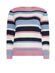 M&Co Nevy Blue Petite Multi Stripe Jumper - Image 5 of 5