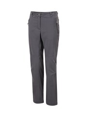 Dare 2b Womens Grey Melodic II Stretch Walking Trousers - Image 2 of 4
