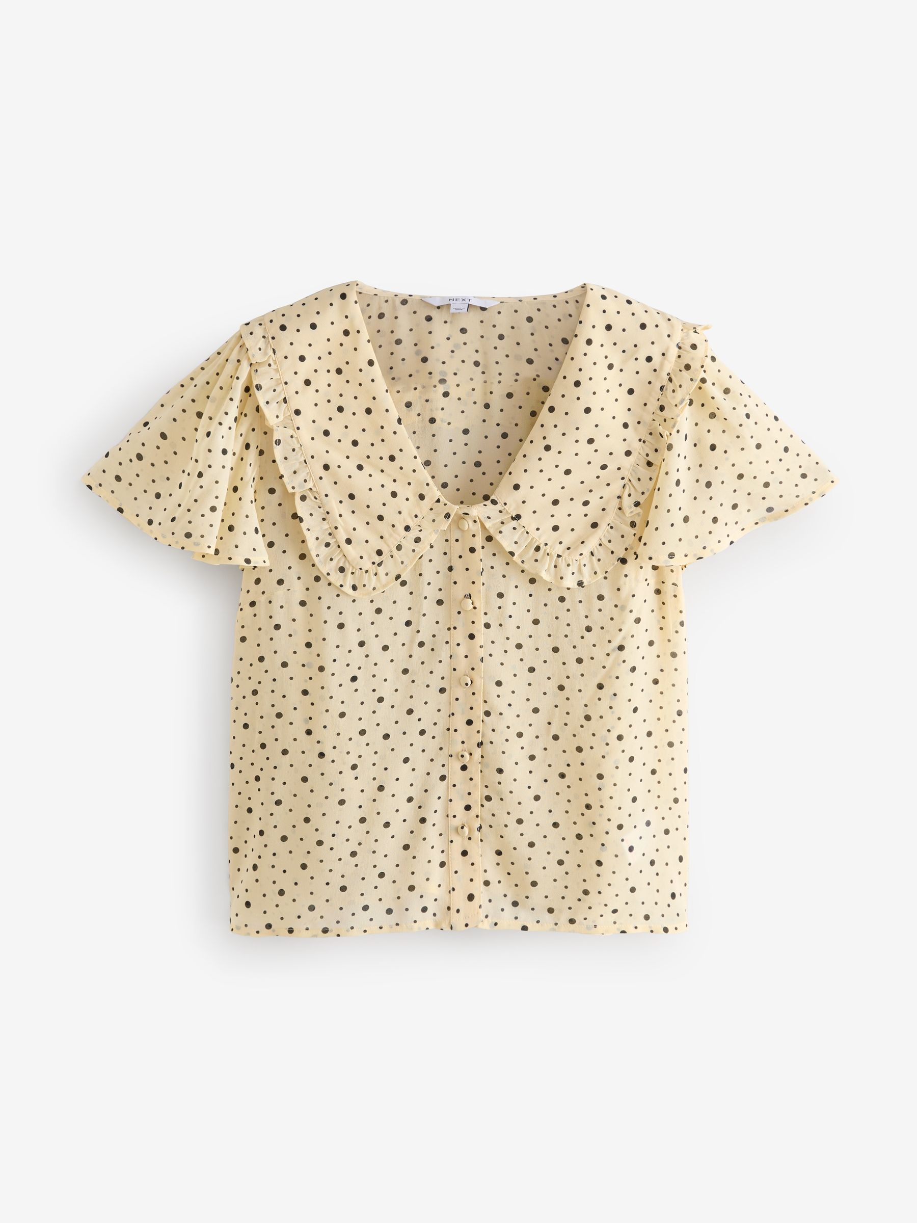 Buy Yellow Ditsy Spot Peter Pan Collar Sheer Short Sleeve