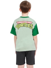 Character Green Teenage Mutant Ninja Turtles 100% Cotton T-Shirt And Shorts Set - Image 2 of 11