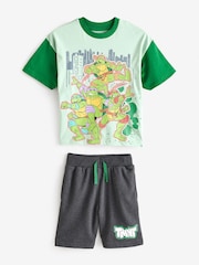 Character Green Teenage Mutant Ninja Turtles 100% Cotton T-Shirt And Shorts Set - Image 6 of 11