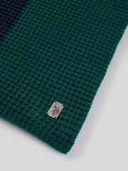 U.S. Polo Assn. Mens Green Striped Winter Waffle Knit Scarf - Изображение 2 из 3