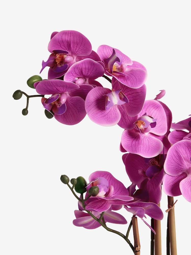 Pink Artificial Real Touch Orchid Plant In Grey Ceramic Pot - Image 4 of 4