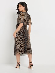 PixieGirl Petite Brown Animal Mesh Frill Midi Dress - Image 3 of 5