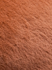 Furn Rust Kallu Reversible Faux Fur Cushion - Image 4 of 4