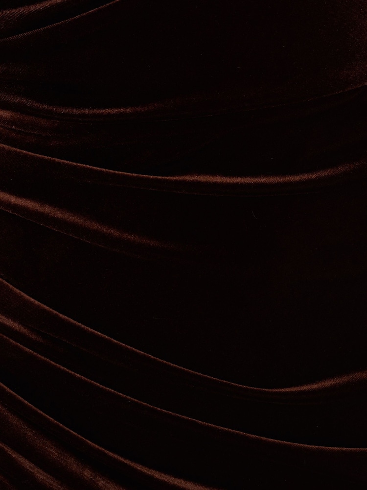 Adrianna Papell Velvet Column Brown Gown - Image 7 of 7
