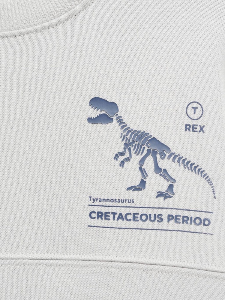 Mango Cream Boys Graphic Dinosaur Sweatshirt - Image 7 of 7