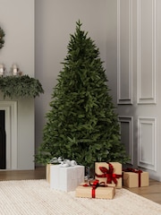 Charles Bentley Green Faux Hinged Nordic Spruce 6ft 8ft Christmas Tree - Image 1 of 5