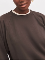 JD Williams Brown Crew Neck Seam Detail Chocolate Sweatshirt - Image 4 of 4