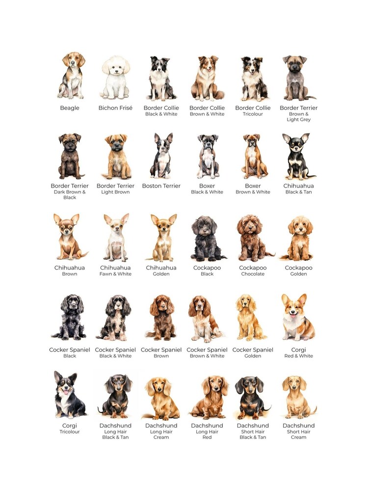 Personalised Dog and Christmas Tree Bauble by No Ordinary Gift - Image 5 of 5