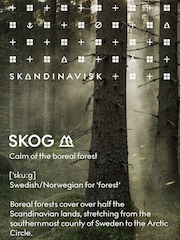 SKANDINAVISK SKOG Shampoo 500ml - Image 3 of 3