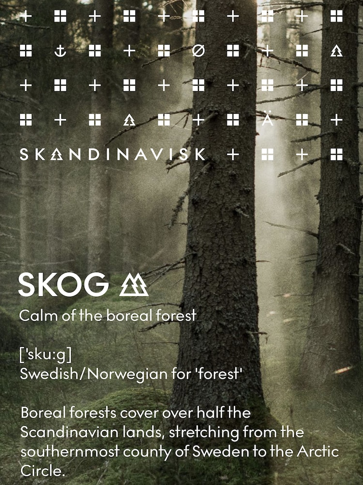 SKANDINAVISK SKOG Shampoo 500ml - Image 3 of 3