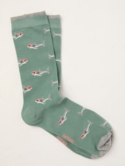 FatFace Green Shark Socks - Image 1 of 2
