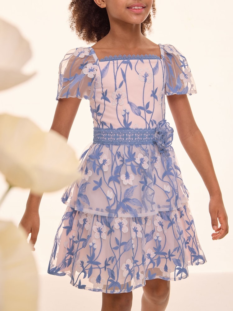 Lipsy Premium Embroidered Lace Occasion Dress (5-16yrs) - Imagen 1 de 6 Lipsy Premium Embroidered Lace Occasion Dress (5-16yrs) - Imagen 1 de 6