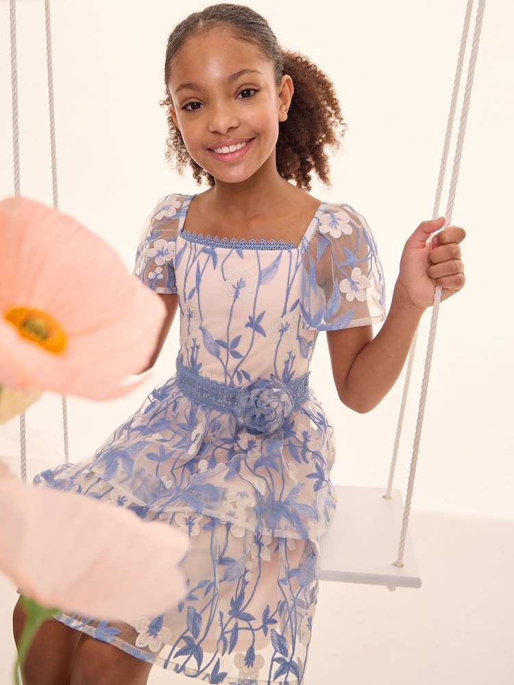 Lipsy Premium Embroidered Lace Occasion Dress (5-16yrs) - Imagen 2 de 6 Lipsy Premium Embroidered Lace Occasion Dress (5-16yrs) - Imagen 2 de 6