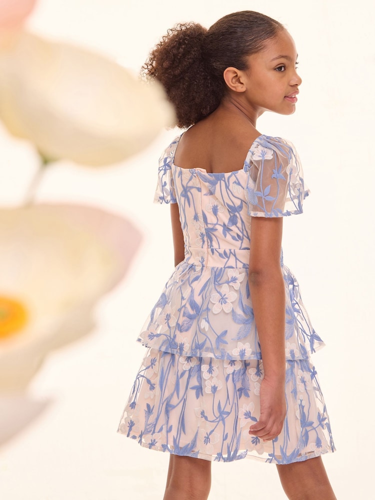 Lipsy Premium Embroidered Lace Occasion Dress (5-16yrs) - Imagen 6 de 6 Lipsy Premium Embroidered Lace Occasion Dress (5-16yrs) - Imagen 6 de 6