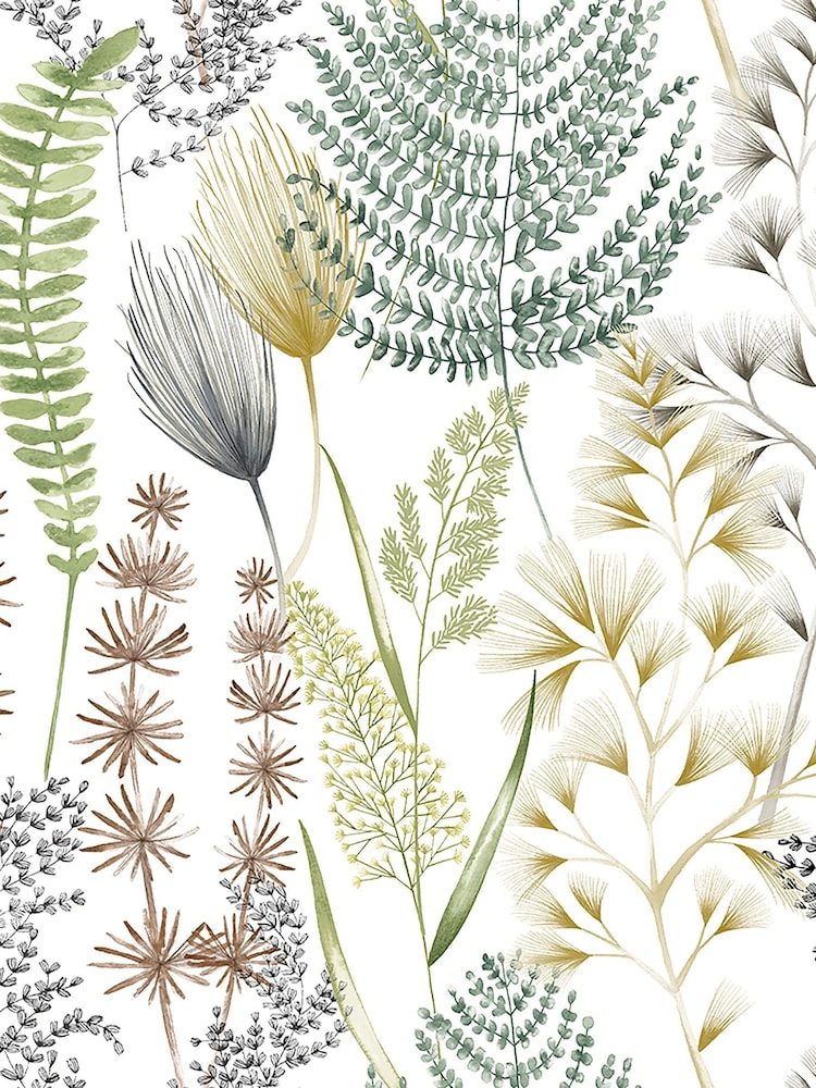 Ohpopsi Earth Organic Summer Ferns A4 Wallpaper Sample - Image 1 of 1