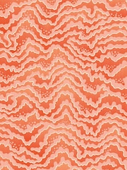 Ohpopsi Pumpkin Contour A4 Wallpaper Sample - Image 1 of 1