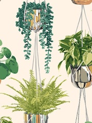 Ohpopsi Sage and Cider Houseplant A4 Wallpaper Sample - Image 1 of 1