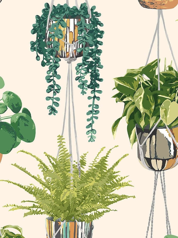 Ohpopsi Sage and Cider Houseplant A4 Wallpaper Sample - Image 1 of 1