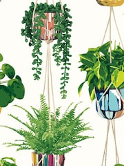 Ohpopsi Parakeet Houseplant A4 Wallpaper Sample - Image 1 of 1