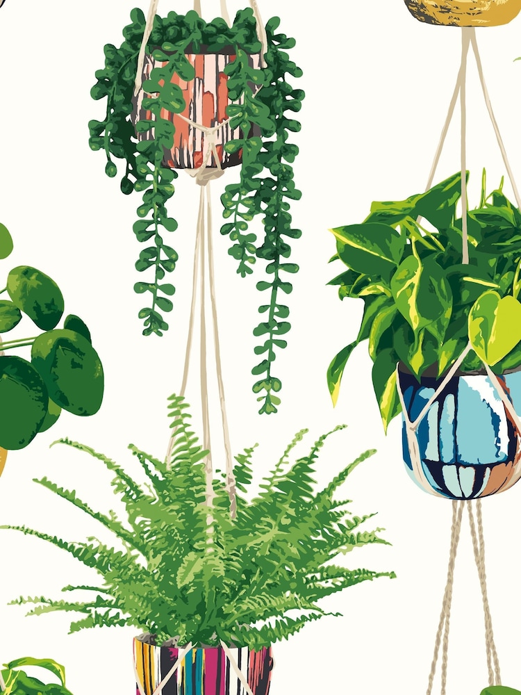 Ohpopsi Parakeet Houseplant A4 Wallpaper Sample - Image 1 of 1
