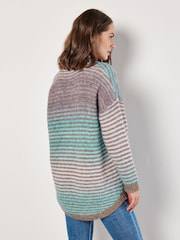 Apricot Blue Multicol Yarn Stripe Jumper - Image 4 of 4