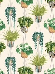 Ohpopsi Sage and Cider Houseplant 10M Wallpaper - Image 2 of 2