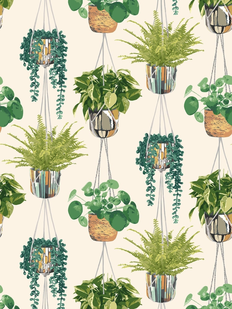 Ohpopsi Sage and Cider Houseplant 10M Wallpaper - Image 2 of 2