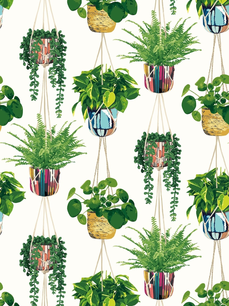 Ohpopsi Parakeet Houseplant 10M Wallpaper - Image 3 of 3
