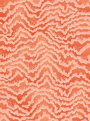 Ohpopsi Pumpkin Contour 10M Wallpaper - Image 3 of 3