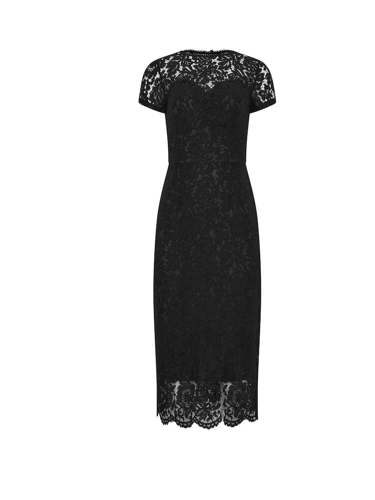 Long Tall Sally Кружевное облегающее платье - Image 5 of 5