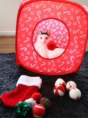 Rosewood Christmas Cat Toy Bundle Containing Wool Balls, Cat Cube and Stocking - Image 1 of 6