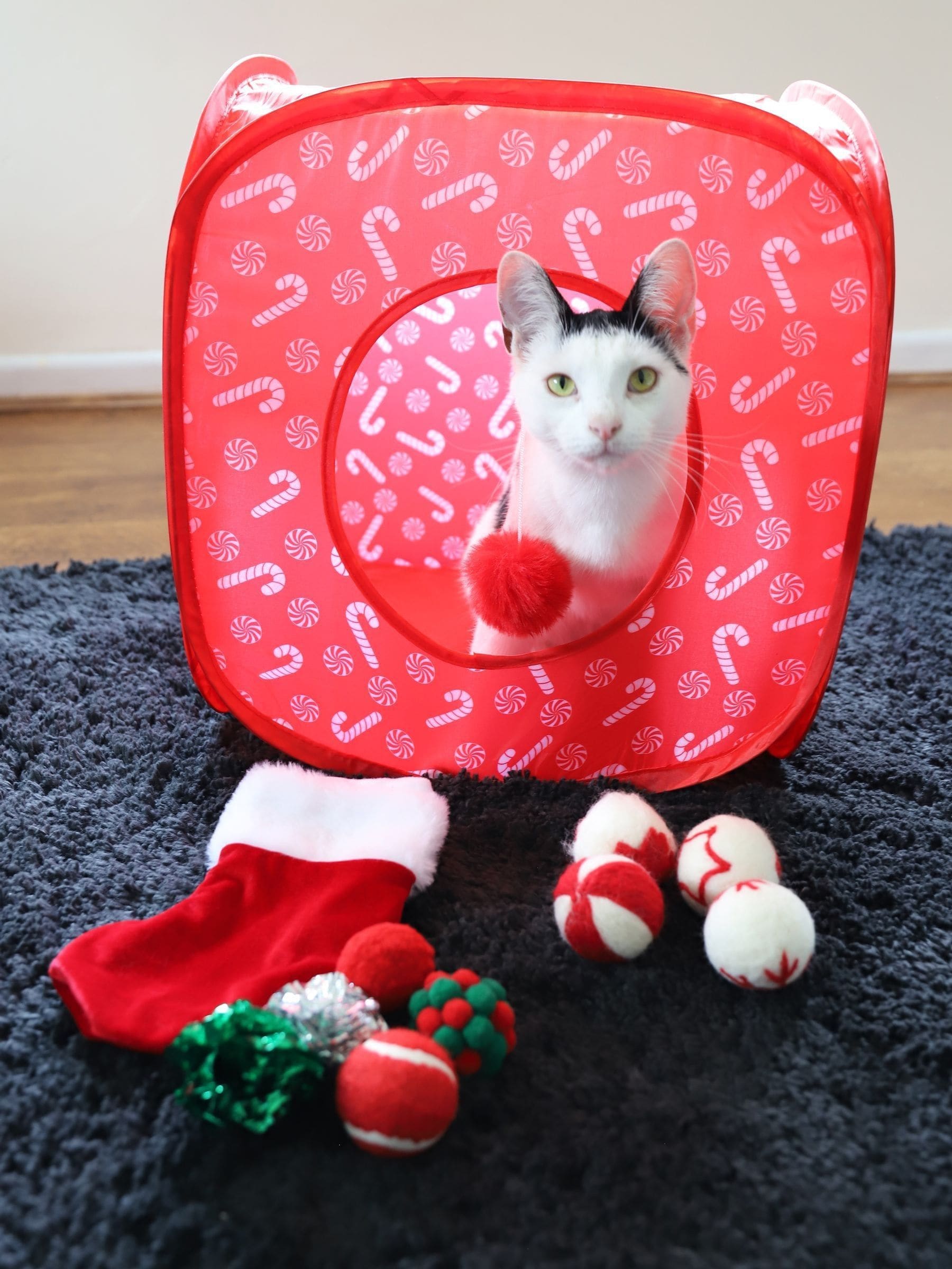Rosewood cat toys outlet