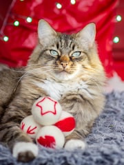 Rosewood Christmas Cat Toy Bundle Containing Wool Balls, Cat Cube and Stocking - Image 3 of 6